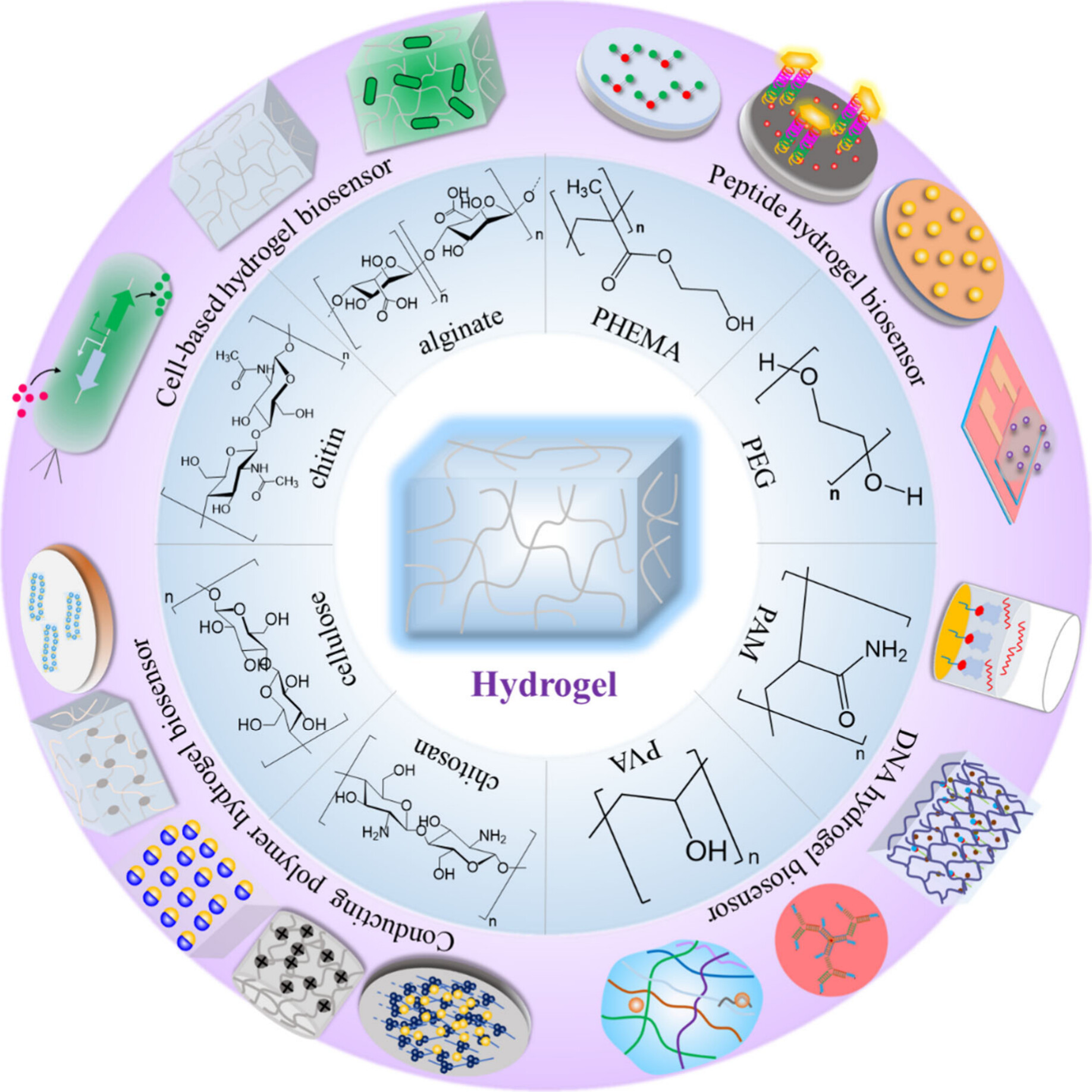 Biodegradable Packaging Polymers